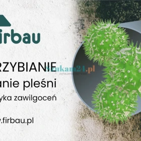 ODGRZYBIANIE BUDYNKÓW USUWANIE PLEŚNI 